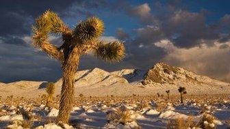 Winter is the ideal time to explore the dramatic, beautiful landscapes of Death Valley. (Witold Skrypczak/LPI)